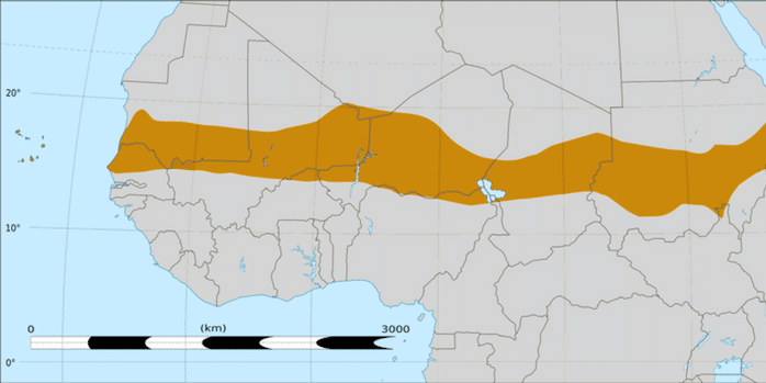 La La « bande » du Sahel. ( Felix Koenig/Wikimedia, CC BY)