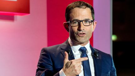 Benoît Hamon, en meeting à Lille, le 29 mars 2017. (PHILIPPE HUGUEN / AFP)