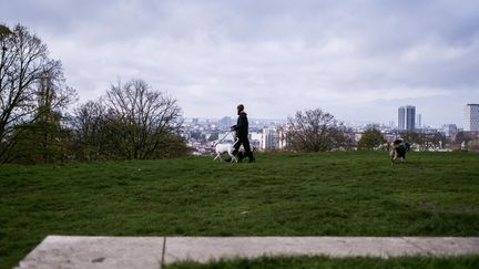 Un homme promène son chien dans le parc Jean-Moulin - Les Guilands, à Montreuil (Seine-Saint-Denis), le 14 novembre 2020. (NOEMIE COISSAC / HANS LUCAS / AFP)