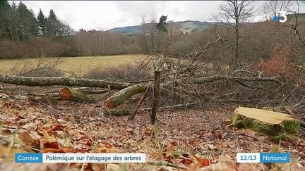 
10 000 arbres ont été abattus en quelques semaines en Corrèze à la suite d'une campagne d'élagage lancée par le Conseil Départemental. Les habitants dénoncent le massacre du paysage.
 (FRANCE 3)