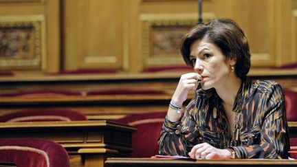 Chantal Jouanno au S&eacute;nat, &agrave; Paris, le 23 janvier 2012. (ERIC FEFERBERG / AFP)