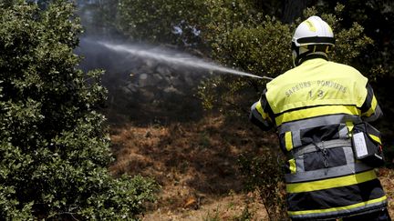 Après les incendies, voir comment la nature réagit