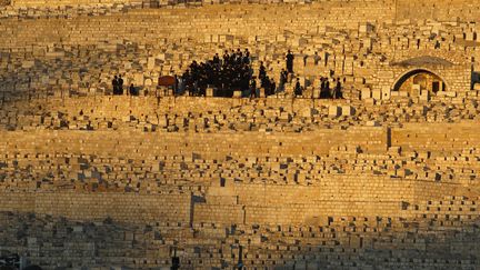 Des juifs ultra-orthodoxes se recueillent sur une tombe sur le mont des Oliviers &agrave; J&eacute;rusalem (Isra&euml;l), le 23 ao&ucirc;t 2012. (BAZ RATNER / REUTERS)