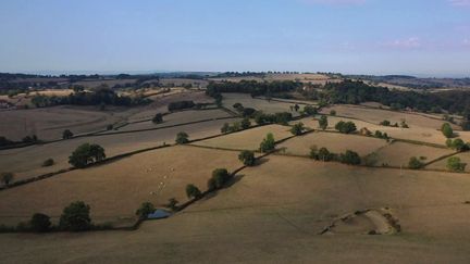 Côte-d'Or : les agriculteurs de Dijon s'adaptent au changement climatique