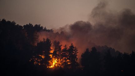 Un feu de forêt près du village de Gouves, sur l'île d'Eubée (Grèce), le 10 août 2021. (ANGELOS TZORTZINIS / AFP)