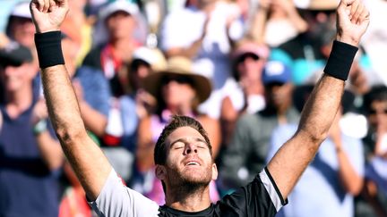 La joie de Juan Martin Del Potro après sa victoire en finale d'Indian Wells (HARRY HOW / GETTY IMAGES NORTH AMERICA)