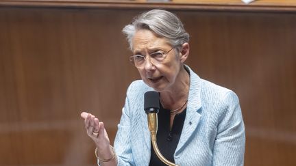 Elisabeth Borne a qualifié le Rassemblement national d'"héritier de Pétain" le 29 mai 2023. (VINCENT ISORE / MAXPPP)