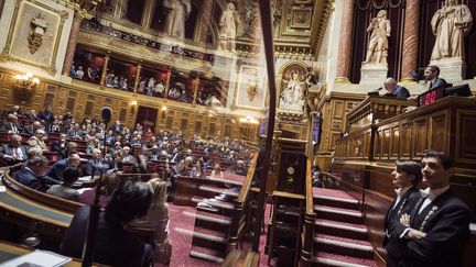 L'hémicycle du Sénat lors d'une session le 17 novembre 2016 à Paris. (LIONEL BONAVENTURE / AFP)