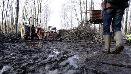 Un opposant &agrave; l'a&eacute;roport Grand Ouest se rend sur le site de La Ch&acirc;taigneraie, &agrave; Notre-Dame-des-Landes (Loire-Atlantique), le 11 d&eacute;cembre 2012. (JEAN-SEBASTIEN EVRARD / AFP)