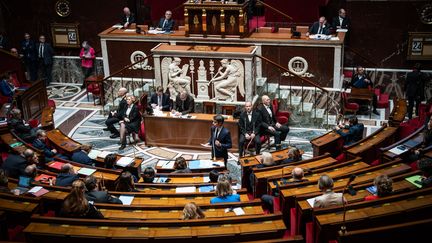 The French National Assembly, January 24, 2024. (XOSE BOUZAS / HANS LUCAS / AFP)