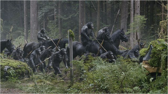 "La Planète des singes : l'affrontement" de Matt Reeves
 ( © Twentieth Century Fox 2014 )