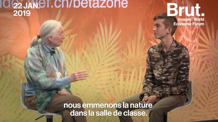 La primatologue et activiste Jane Goodall a pu s'exprimer dans le cadre du Forum de Davos qui se tient jusqu'au vendredi 25 janvier 2019.