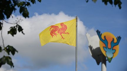 Le drapeau de la Wallonie, photographié le 24 juin 2016. (MAXPPP)