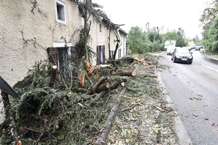 Des arbres sont tomb&eacute;s sur une maison de Montauban (Tarn-et-Garonne), le 1er septembre 2015.&nbsp; (PASCAL PAVANI / AFP)