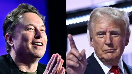 Elon Musk, le PDG de Tesla et X (à gauche) et l'ancien président des États-Unis et candidat républicain à l'élection présidentielle de 2024, Donald Trump. (FREDERIC J. BROWN,BRENDAN SMIALOWSKI / AFP)