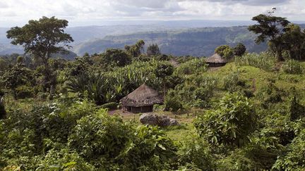 sont avant tout paysans et agriculteurs. Ils préfèrent vivre dans des maisons isolées et des petits hameaux que dans des villages. La grande majorité se trouve à 600 kilomètres au sud d’Addis-Abeba sur un territoire montagneux, variant de 1.600 à 3.000  mètres d’altitude. Le climat y est tropical mais très sain.  (Hans Silvester)