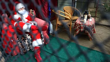 Santa Claus derrières les grilles du zoo de Prague, le 19 décembre 2013.
 (Michal Cizek / AFP)