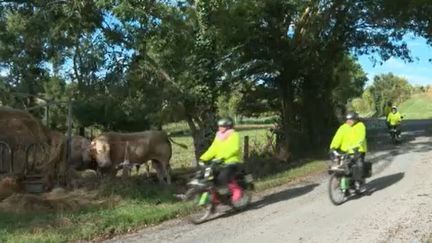 Découverte : des passionnés de Solex s'élancent sur les routes