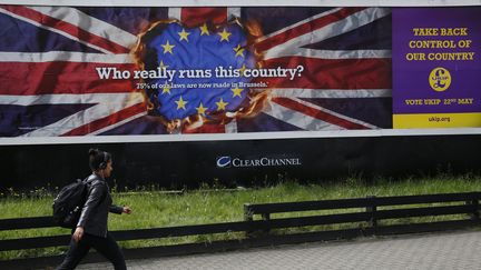 "Qui dirige vraiment ce pays ?" L'affiche de campagne du Ukip, lors des europ&eacute;ennes de mai 2014.&nbsp; (LUKE MACGREGOR / REUTERS)