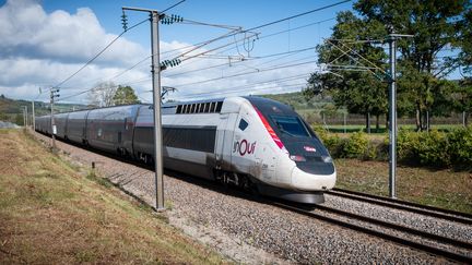 Un TGV en circulation entre Paris et Lyon, le 2 novembre 2022. (STEPHANE MOUCHMOUCHE / HANS LUCAS / AFP)