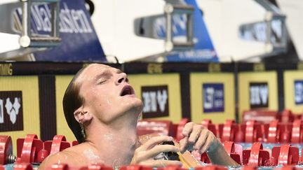 Le Fran&ccedil;ais Yannick Agnel, se classe troisi&egrave;me lors de la finale du 200 m nage libre, aux 32e championnat d'Europe d'athl&eacute;tisme, le 20 ao&ucirc;t 2014, &agrave; Berlin. (DAMIEN MEYER / AFP)