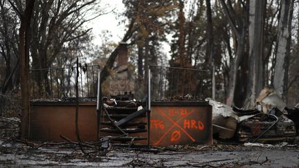 Une vue des destructions causées par les incendies à Paradise, en Californie (Etats-Unis), le 21 novembre 2018. (JUSTIN SULLIVAN / GETTY IMAGES NORTH AMERICA / AFP)