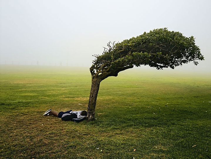 Pieter Hugo, "Green Point Common", Le Cap, 2013
 (Pieter Hugo, courtesy Galerie Stevenson, Le Cap / Johannesburg et Yossi Milo, New York)