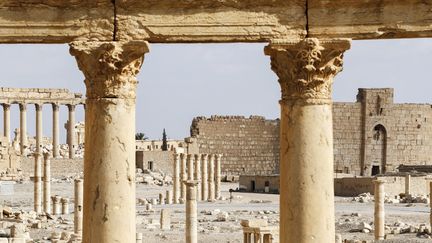 Le site de Palmyre en Syrie, mars 2017
 (Louai Beshara / AFP)