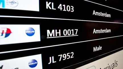 Le vol MH17 en provenance d'Amsterdam, qui s'est &eacute;cras&eacute; le 17 juillet 2014 en Ukraine,&nbsp;s'affiche sur les &eacute;crans du hall d'arriv&eacute;e de l'a&eacute;roport de Kuala Lumpur (Malaisie). &nbsp; (MANAN VATSYAYANA / AFP)