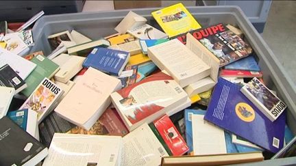 Recyclivre, l'entreprise qui donne une seconde vie aux livres