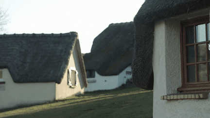 Dans le hameau de Variéras (Corrèze), toutes les maisons sont coiffées de chaume. Ce projet audacieux a été initié en 1963 par un artisan, Maurice Gorsse. Une passion pour la chaume qu’il a transmise à son fils, Denis. Rencontre. (France 3)