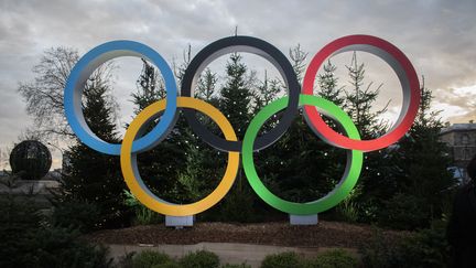 Les anneaux olympiques installés à Paris, le 19 décembre 2022. (MAGALI COHEN / HANS LUCAS)