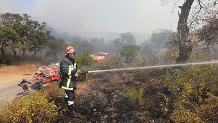 Un pompier lutte contre les flammes, le 26 juillet 2017, à Bormes-les-Mimosas (Var). (MAXPPP)