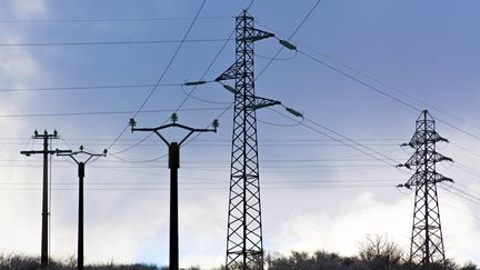 Les lignes à haute tension permettent l'acheminement du courant électrique depuis les sites de production vers des distributeurs. (BERNARD JAUBERT / AFP)