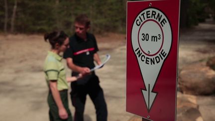 Incendies : la forêt de Fontainebleau sous surveillance