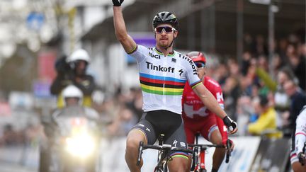 Peter Sagan. (DE WAELE TIM / TDWSPORT SARL)