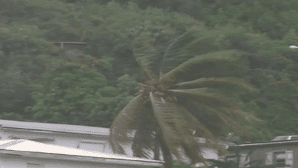 Martinique : l’île placée en alerte rouge au cyclone (France 2)