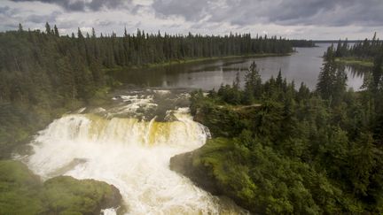 La forêt boréale dans la province du Manibota (Canada), le 1er décembre 2016. (PAUL SOUDERS / BIOSPHOTO / AFP)