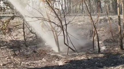 Incendies :&nbsp;dans l'Aveyron, l'incendie est contenu mais toujours pas maîtrisé&nbsp; (FRANCE 3)