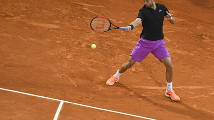 Le Bulgare Grigor Dimitrov sur terre battue (YANN COATSALIOU / AFP)