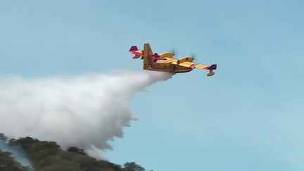 Incendie dans les Pyrénées-Orientales : des centaines de personnes évacuées, les pompiers toujours à l'œuvre (franceinfo)