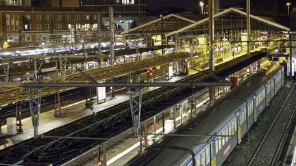 Gare de Toulouse (Haute-Garonne), le 29 novembre 2013. (ERIC TEISSEDRE / PHOTONONSTOP / AFP)