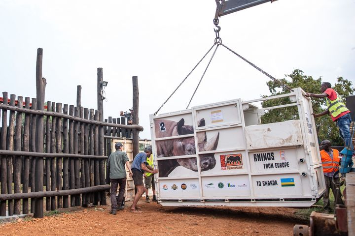 Un conteneur&nbsp;transportant l'un des cinq rhinocéros noirs, le 24 juin 2019.&nbsp; (STRINGER / AFP)