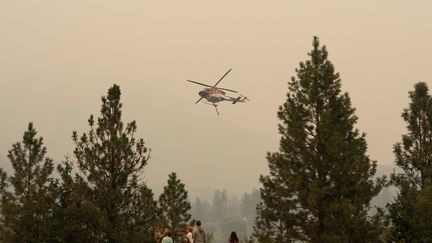 Les hélicoptères en rotation au dessus de Kelowna, en Colombie britannique, le 19 août 2023. (PAIGE TAYLOR WHITE / AFP)