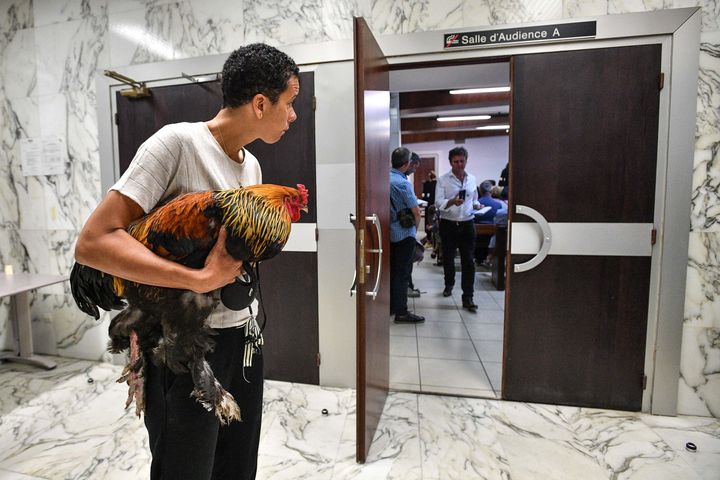 Tribunal de Grande Instance de Rochefort, cas de plainte pour nuisances sonores, 4 juillet 2019 (XAVIER LEOTY / AFP)