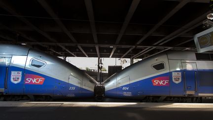 Le personnel des voitures-bars TGV sera en grève, le 3 avril 2017, pour le 6e jour consécutif.&nbsp; (MAXPPP)