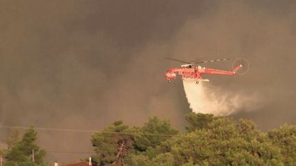 Incendies en Grèce : le feu se propage à vive allure aux portes d'Athènes