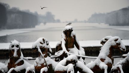 Les jardins du chateau de Versailles, mercredi 7 février 2018.&nbsp; (CHRISTOPHE SIMON / AFP)