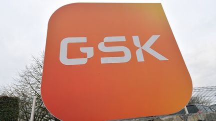 Le Jemperli est développé par le laboratoire pharmaceutique GSK. (JEAN-FRANCOIS MONIER / AFP)