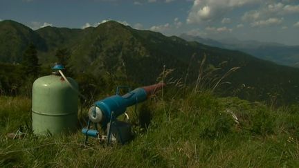 Le dispositif d'effarouchement de l'ours mis en place en deux étapes dans les Pyrénées (FRANCE 3)